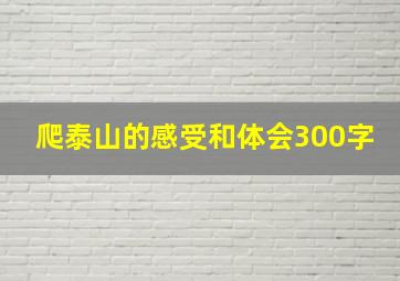 爬泰山的感受和体会300字