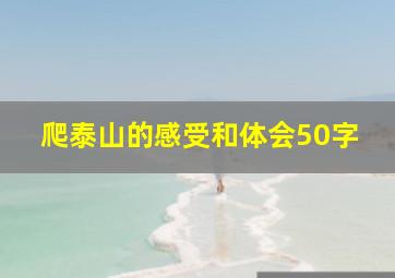 爬泰山的感受和体会50字