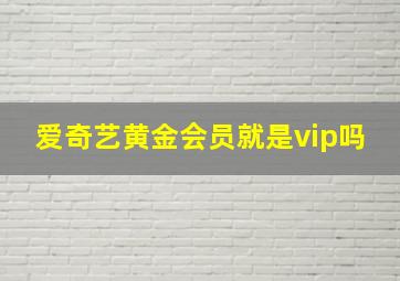 爱奇艺黄金会员就是vip吗