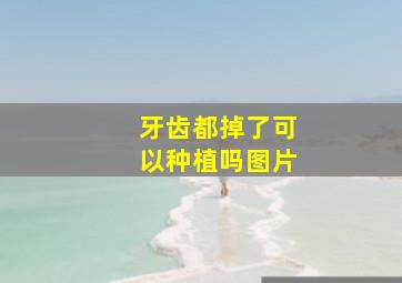 牙齿都掉了可以种植吗图片