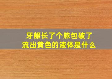 牙龈长了个脓包破了流出黄色的液体是什么