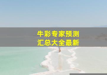 牛彩专家预测汇总大全最新