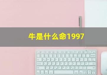 牛是什么命1997