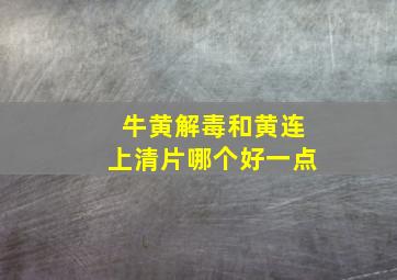 牛黄解毒和黄连上清片哪个好一点