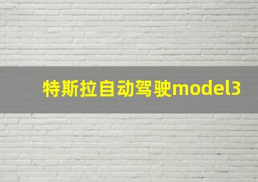 特斯拉自动驾驶model3