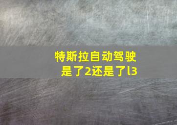 特斯拉自动驾驶是了2还是了l3