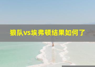 狼队vs埃弗顿结果如何了