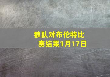 狼队对布伦特比赛结果1月17日