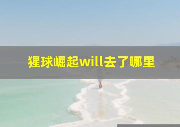 猩球崛起will去了哪里