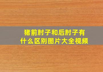 猪前肘子和后肘子有什么区别图片大全视频