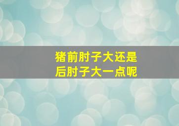 猪前肘子大还是后肘子大一点呢