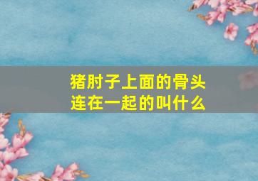 猪肘子上面的骨头连在一起的叫什么