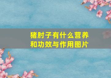 猪肘子有什么营养和功效与作用图片