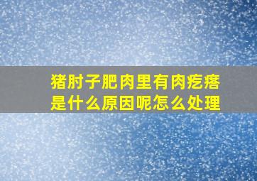 猪肘子肥肉里有肉疙瘩是什么原因呢怎么处理