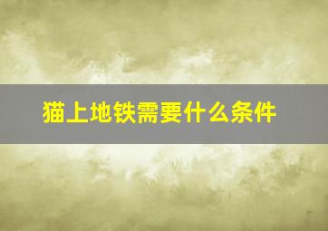 猫上地铁需要什么条件