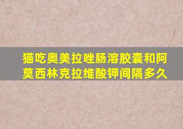 猫吃奥美拉唑肠溶胶囊和阿莫西林克拉维酸钾间隔多久