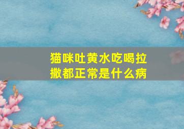 猫咪吐黄水吃喝拉撒都正常是什么病