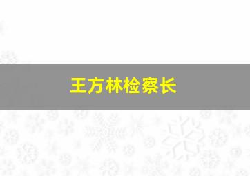 王方林检察长