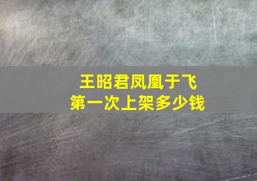 王昭君凤凰于飞第一次上架多少钱