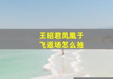 王昭君凤凰于飞返场怎么抽