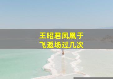 王昭君凤凰于飞返场过几次