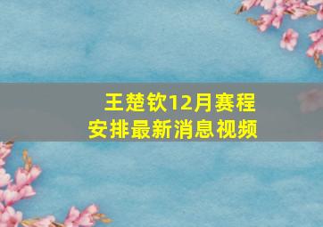 王楚钦12月赛程安排最新消息视频