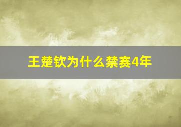 王楚钦为什么禁赛4年