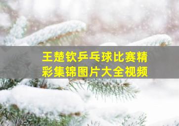 王楚钦乒乓球比赛精彩集锦图片大全视频