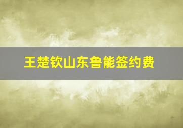 王楚钦山东鲁能签约费