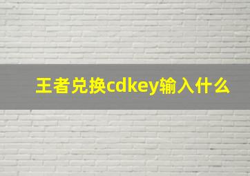 王者兑换cdkey输入什么