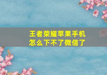 王者荣耀苹果手机怎么下不了微信了