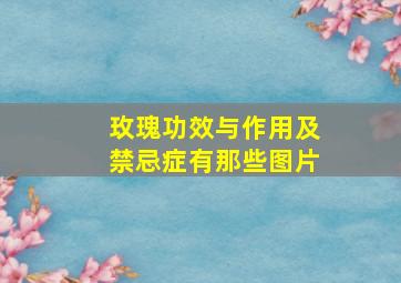 玫瑰功效与作用及禁忌症有那些图片