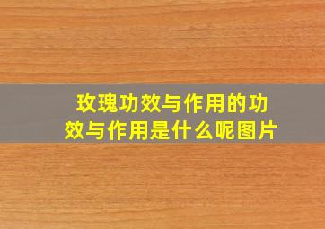 玫瑰功效与作用的功效与作用是什么呢图片