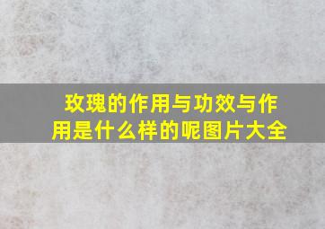 玫瑰的作用与功效与作用是什么样的呢图片大全