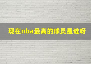 现在nba最高的球员是谁呀