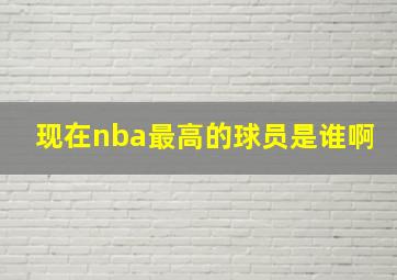 现在nba最高的球员是谁啊