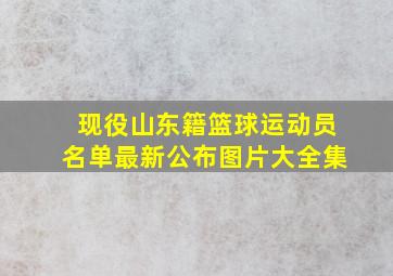 现役山东籍篮球运动员名单最新公布图片大全集