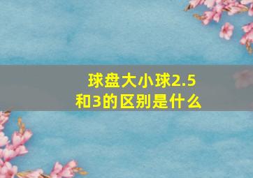 球盘大小球2.5和3的区别是什么