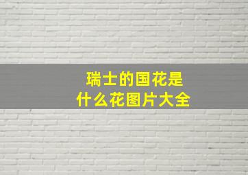 瑞士的国花是什么花图片大全