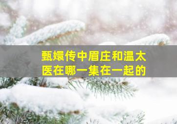 甄嬛传中眉庄和温太医在哪一集在一起的