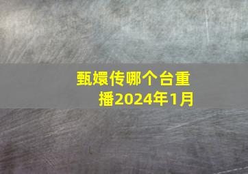 甄嬛传哪个台重播2024年1月