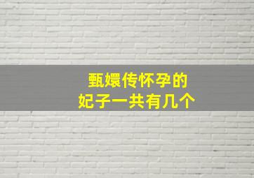 甄嬛传怀孕的妃子一共有几个