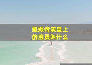 甄嬛传演皇上的演员叫什么