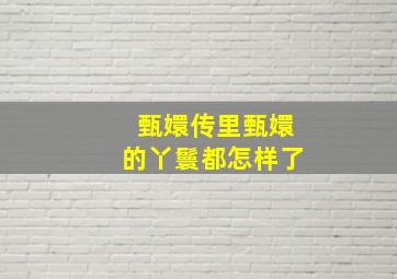 甄嬛传里甄嬛的丫鬟都怎样了