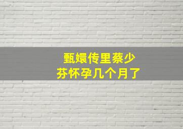 甄嬛传里蔡少芬怀孕几个月了