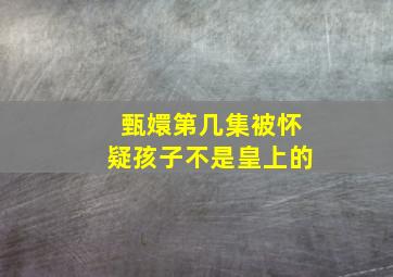 甄嬛第几集被怀疑孩子不是皇上的