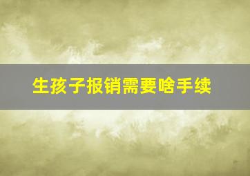 生孩子报销需要啥手续