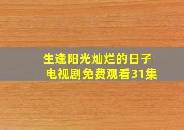 生逢阳光灿烂的日子电视剧免费观看31集