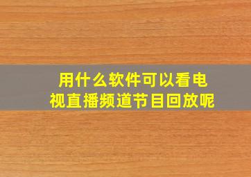 用什么软件可以看电视直播频道节目回放呢