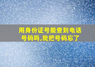 用身份证号能查到电话号码吗,我把号码忘了